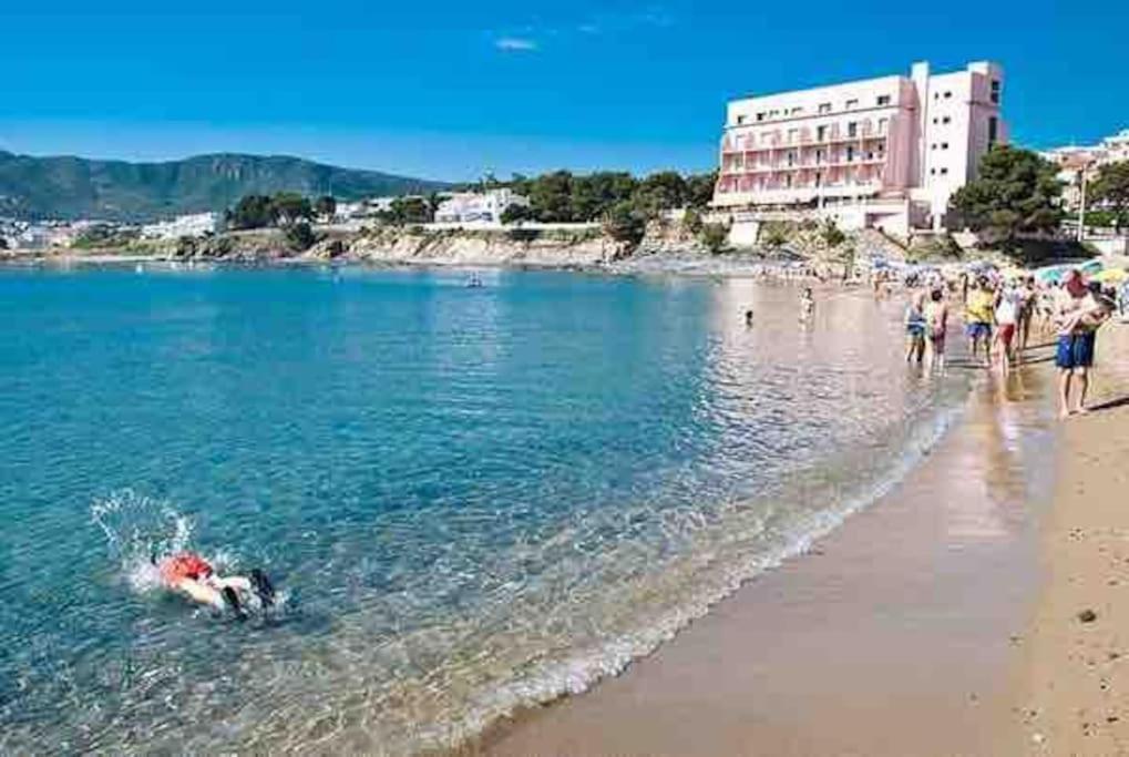 Appartement Con Piscina En *